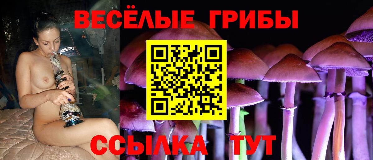 Псилоцибиновые грибы Cubensis  Вход с VPN  Усть-Лабинск 